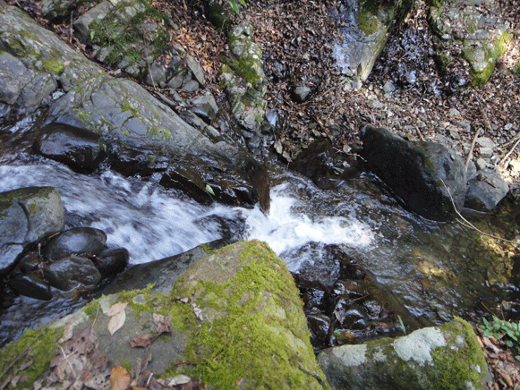 a0056140_18222825.gif