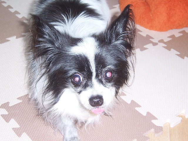 c0048940_22553856.jpg