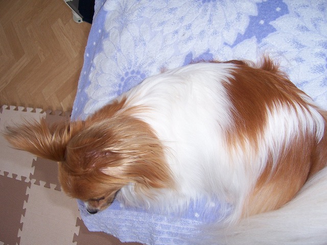 c0048940_22573190.jpg
