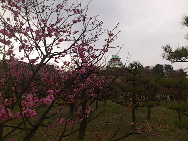 f0140940_19297.jpg