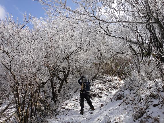 山伏さんの山開きに遭遇_e0164643_1147451.jpg