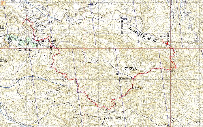 e0164643_1451354.jpg