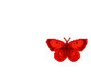 a0224746_11195162.gif