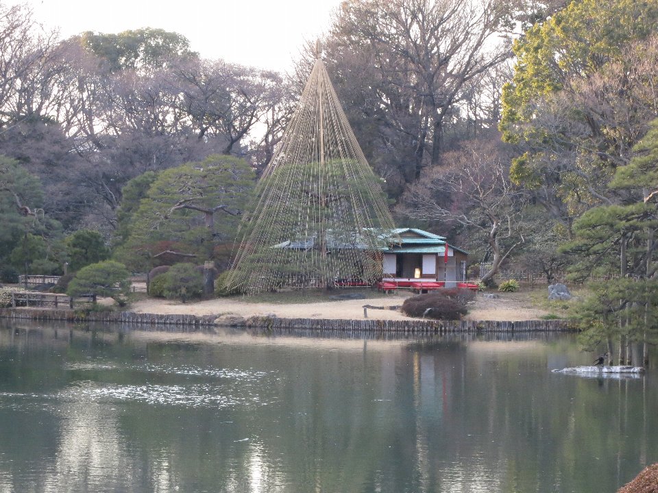 d0048750_20131825.jpg