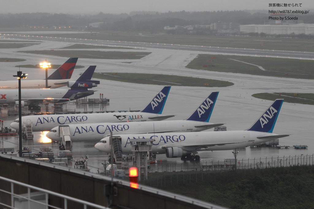 3 5 Ana Cargo特集 Ana Cargoの生い立ち 飛行機写真 旅客機に魅せられて