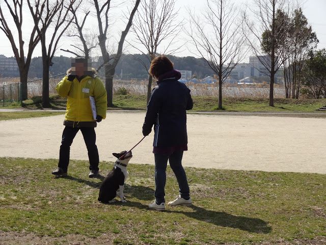 f0192863_1326828.jpg