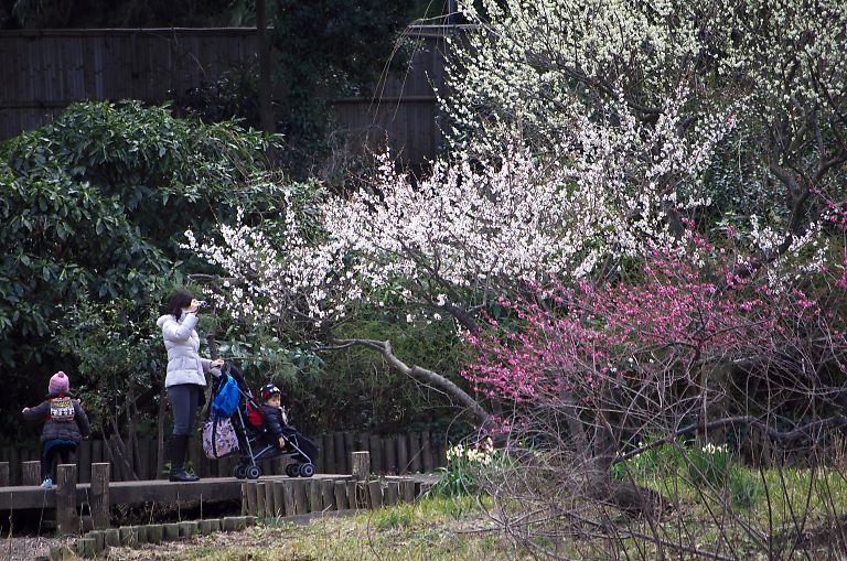 横浜　三溪園(３月２日）_c0057265_3434720.jpg