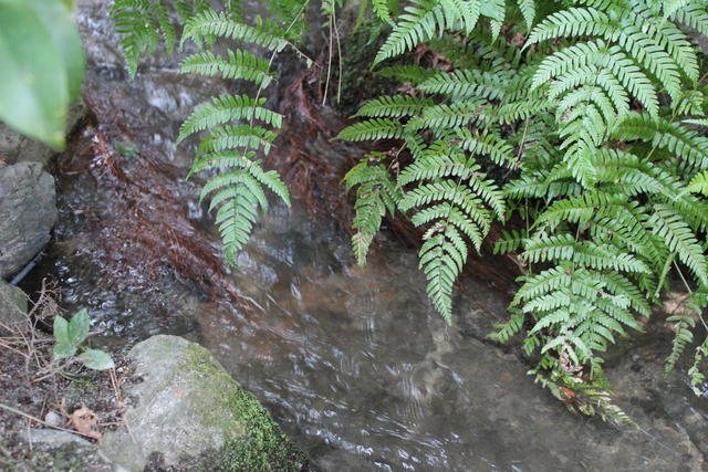 e0139165_16465030.jpg