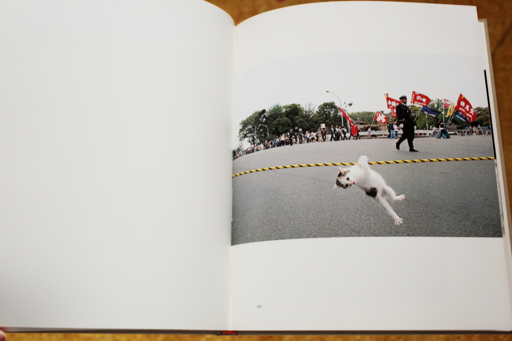 深瀬昌久 Masahisa Fukase 「猫の麦わら帽子 The Strawhat cat 深瀬昌久 Masahisa Fukase 「猫の麦わら帽子 The Strawhat cat