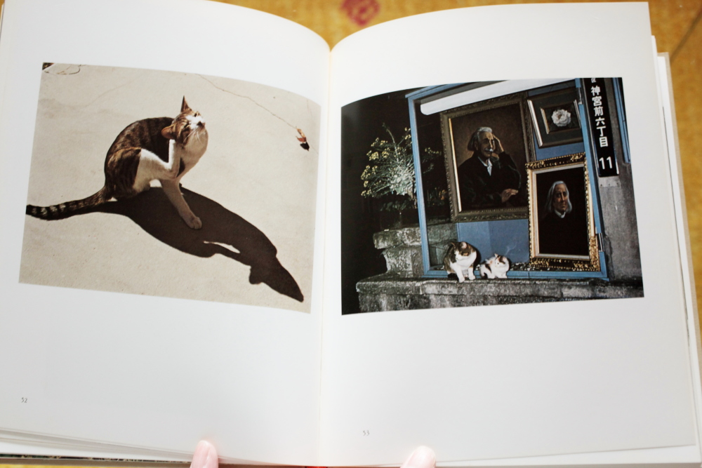 深瀬昌久 Masahisa Fukase 「猫の麦わら帽子 The Strawhat cat 深瀬昌久 Masahisa Fukase 「猫の麦わら帽子 The Strawhat cat