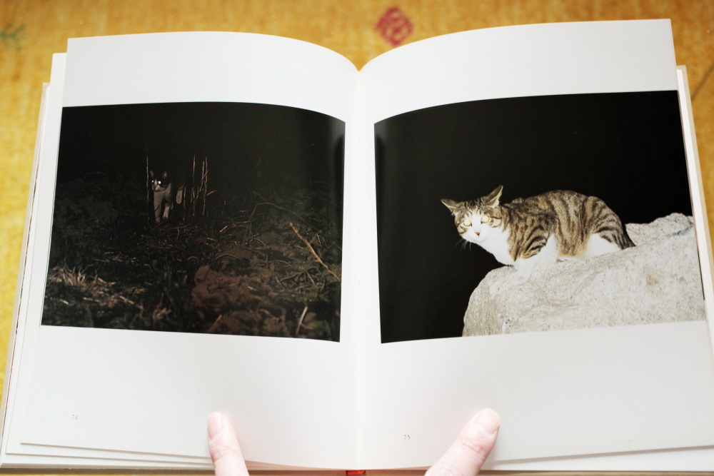 深瀬昌久 Masahisa Fukase 「猫の麦わら帽子 The Strawhat cat 深瀬昌久 Masahisa Fukase 「猫の麦わら帽子 The Strawhat cat
