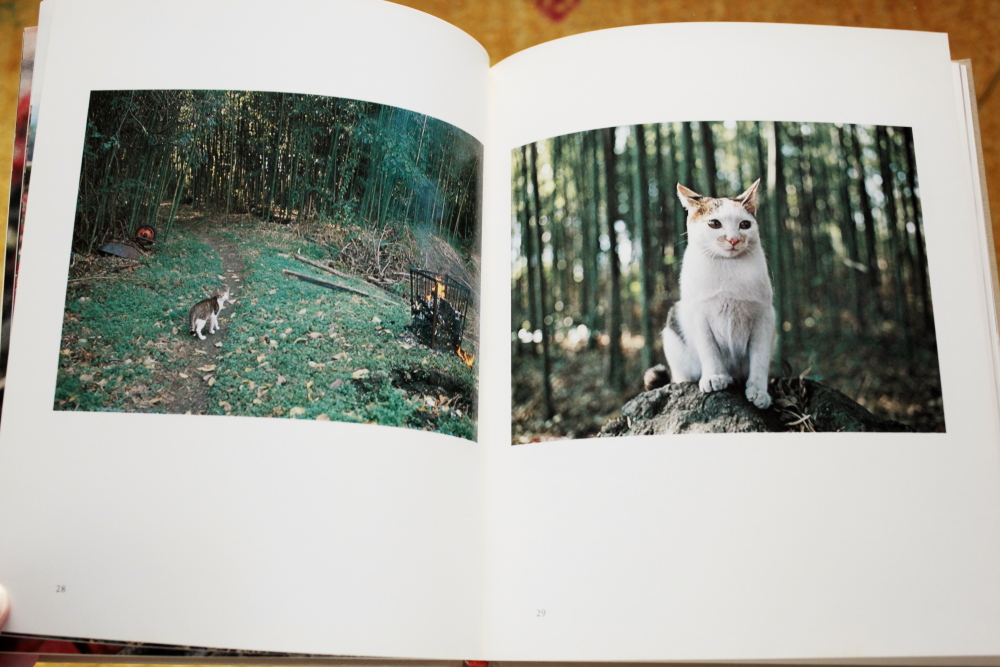 猫の麦わら帽子」THE STRAWHAT CAT 深瀬昌久 写真集☆文化出版局