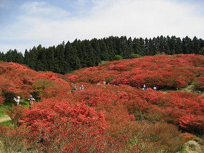 c0229483_2213022.jpg
