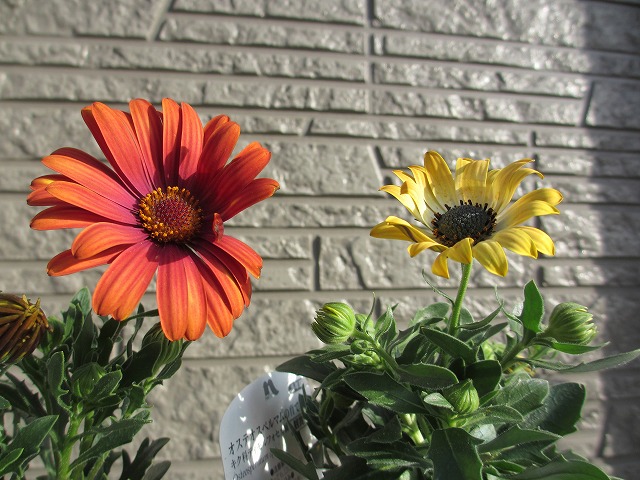 b0182884_0354361.jpg
