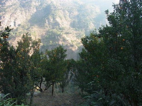 a0207588_22243531.jpg