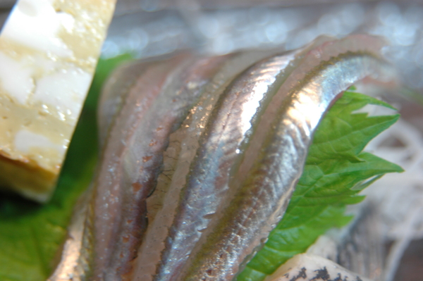 イカナゴの刺身 魚と海が好き 美味しく食べよう 明石の魚 嵜 ｓａｋｉ
