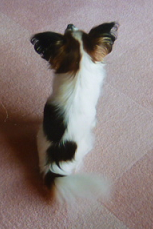 d0282395_21375975.png