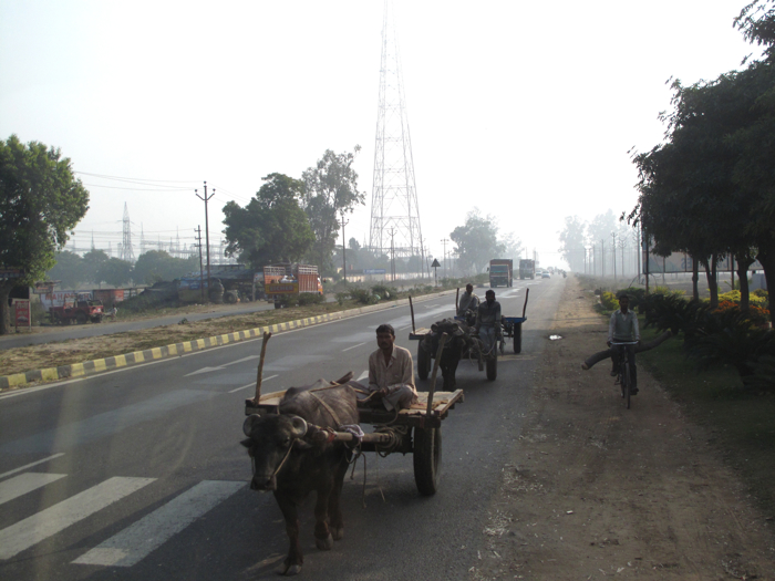 f0170995_0475986.jpg