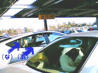 e0025596_18282319.jpg
