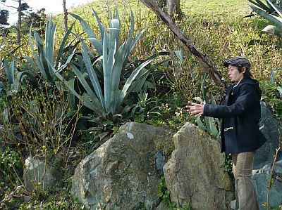 亜熱帯植物園のホラーな植物との遭遇（長崎市）_e0198197_1644342.jpg