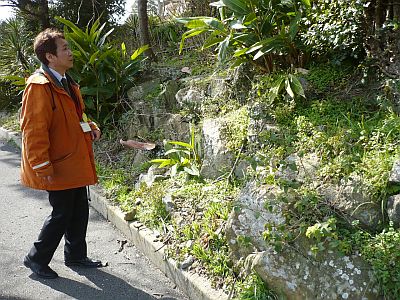 亜熱帯植物園のホラーな植物との遭遇（長崎市）_e0198197_16513932.jpg