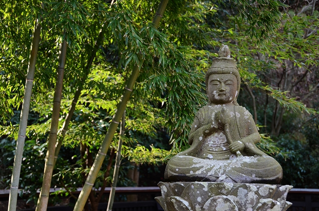 東慶寺の梅_a0169902_23141228.jpg