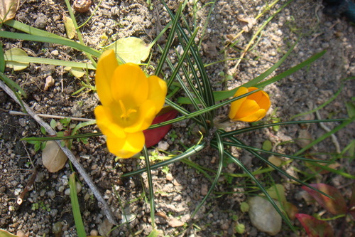 a0019212_2321844.jpg