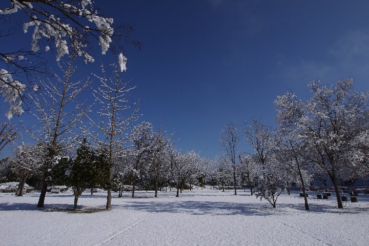 a0268412_23324786.jpg