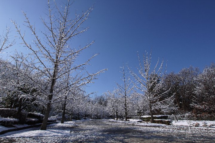 a0268412_23324976.jpg