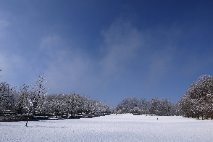 a0268412_23325385.jpg