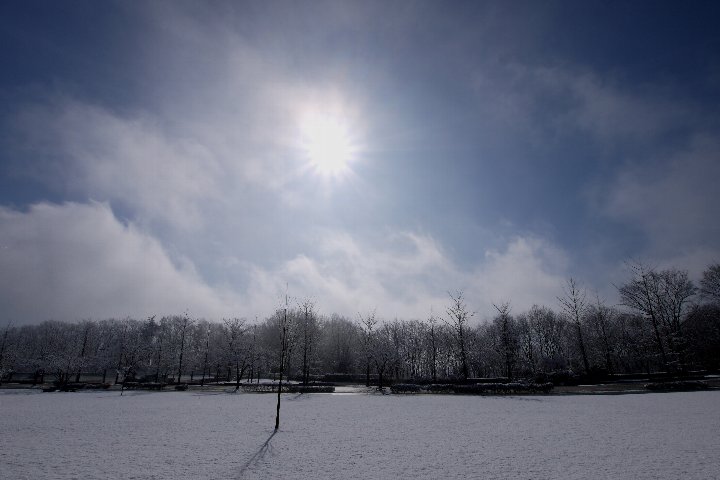 a0268412_23325465.jpg