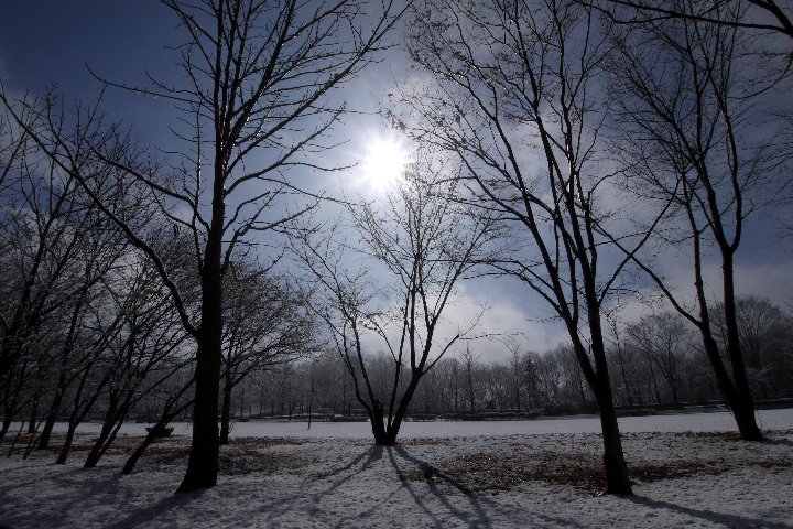 a0268412_23325654.jpg
