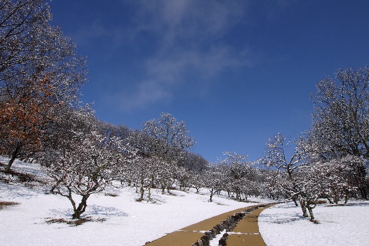 a0268412_2333420.jpg
