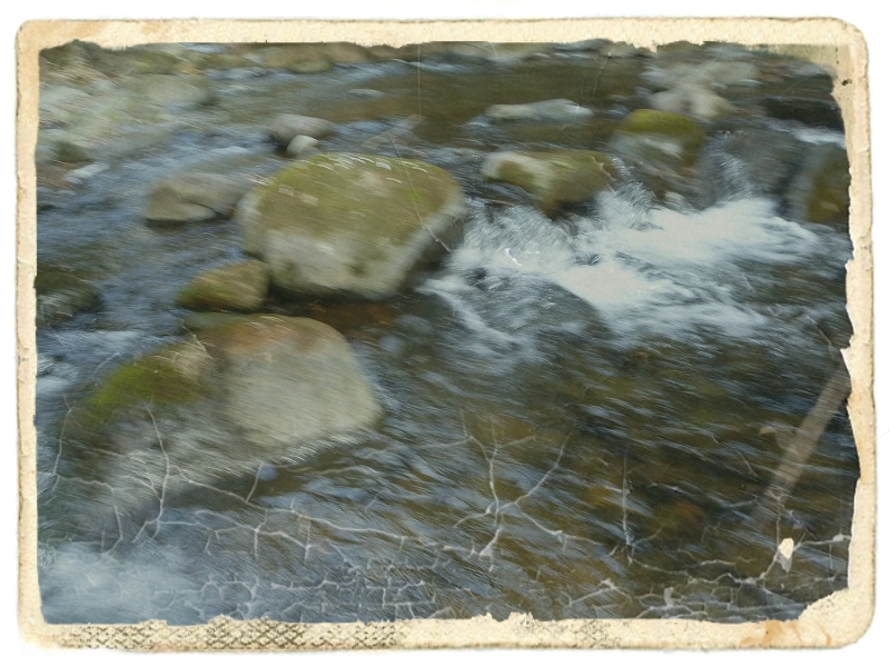 d0227723_21394627.jpg