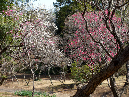 f0124823_9454630.jpg