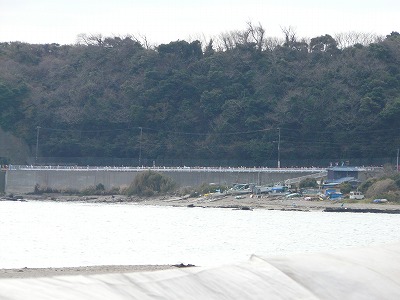 おにゃじ “第31回2013三浦国際市民マラソン”を走る 中編_b0166128_1020248.jpg
