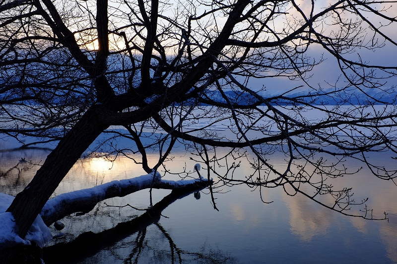 厳冬の夕暮れ_f0050534_8262552.jpg