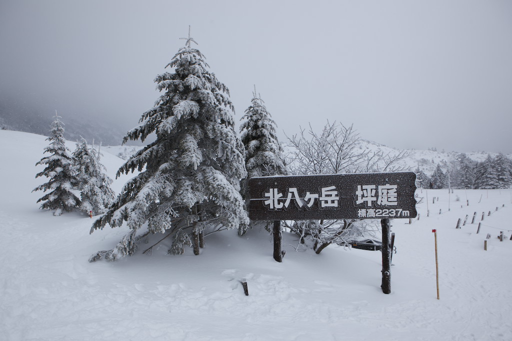 f0171065_2163475.jpg