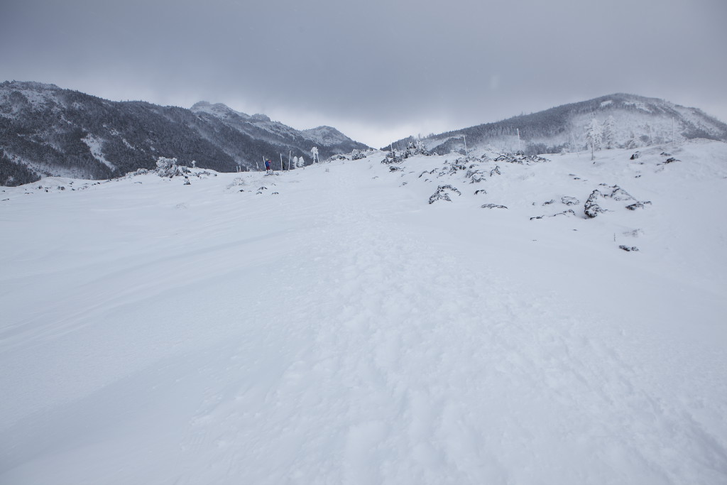 f0171065_2181217.jpg