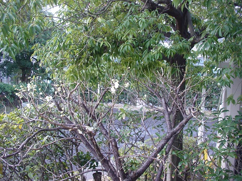 b0194872_2329471.jpg