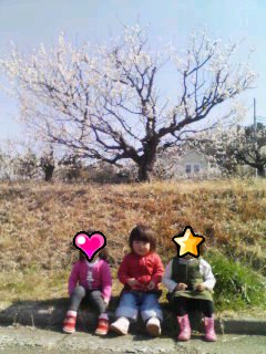 梅の花とまつ毛_e0056973_22584522.jpg