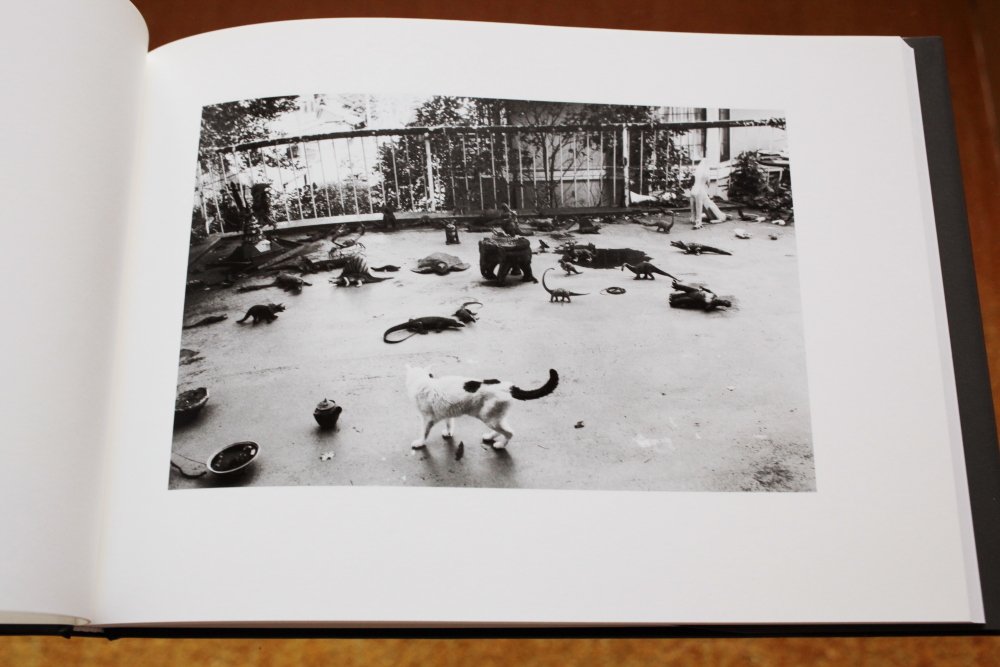 荒木経惟 Nobuyoshi Araki  「センチメンタルな旅　春の旅(Sentimental Journey, Spring Journey)」_c0016177_1048541.jpg