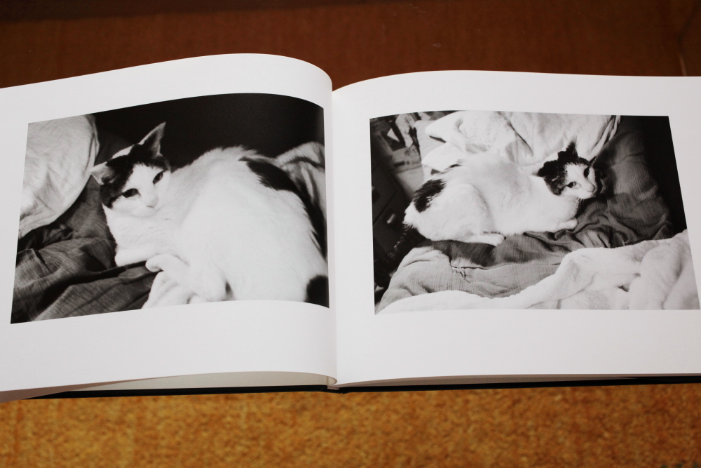 荒木経惟 Nobuyoshi Araki  「センチメンタルな旅　春の旅(Sentimental Journey, Spring Journey)」_c0016177_10485978.jpg