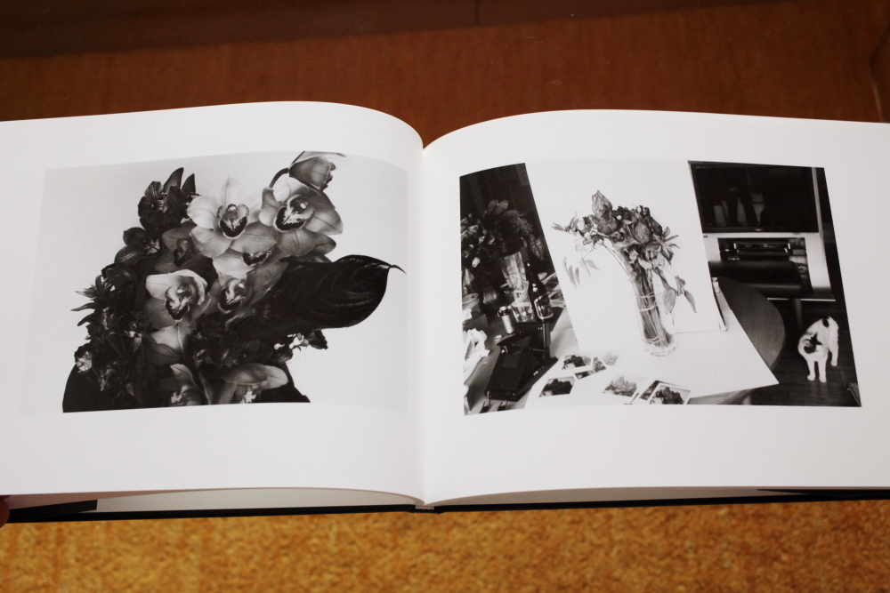 荒木経惟 Nobuyoshi Araki  「センチメンタルな旅　春の旅(Sentimental Journey, Spring Journey)」_c0016177_10494019.jpg