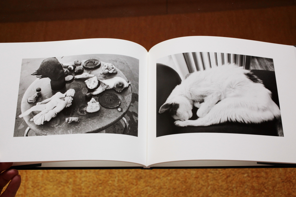 荒木経惟 Nobuyoshi Araki  「センチメンタルな旅　春の旅(Sentimental Journey, Spring Journey)」_c0016177_10494624.jpg