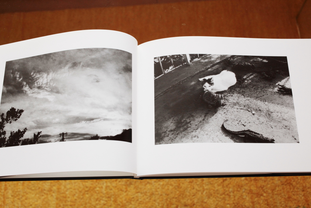 荒木経惟 Nobuyoshi Araki 「センチメンタルな旅 春の旅 荒木経惟 Nobuyoshi Araki 「センチメンタルな旅 春の旅
