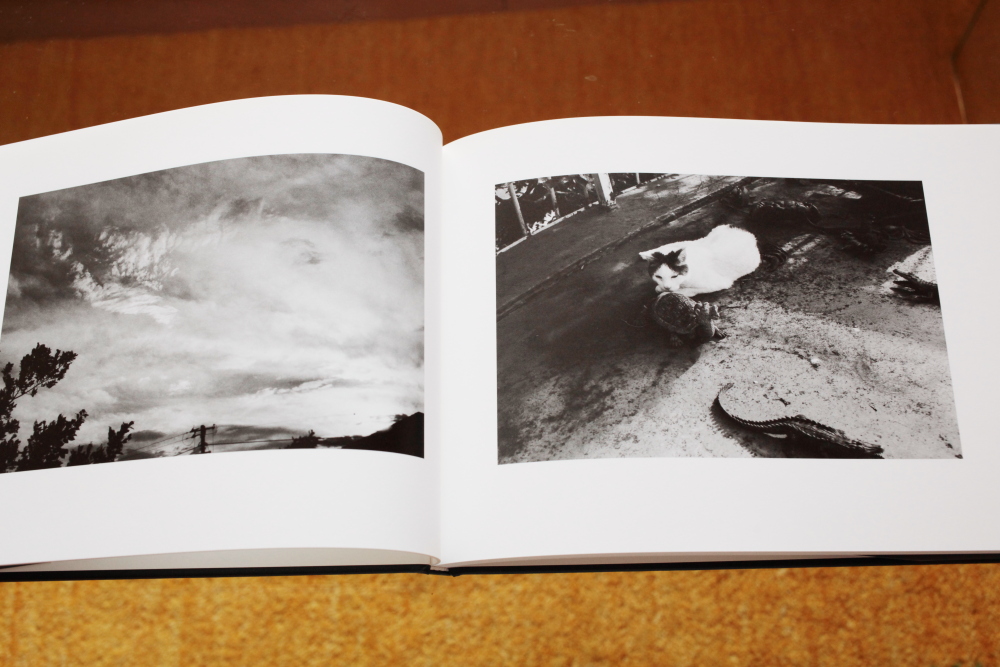 荒木経惟 Nobuyoshi Araki  「センチメンタルな旅　春の旅(Sentimental Journey, Spring Journey)」_c0016177_1049499.jpg