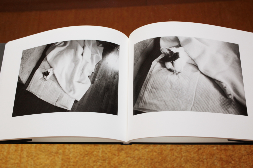 荒木経惟 Nobuyoshi Araki  「センチメンタルな旅　春の旅(Sentimental Journey, Spring Journey)」_c0016177_1050451.jpg