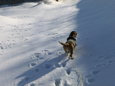 f0205887_9512132.gif