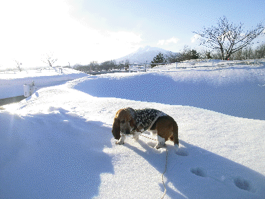 f0205887_9552969.gif